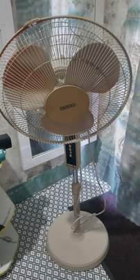 A picture of Feni Brand usha used