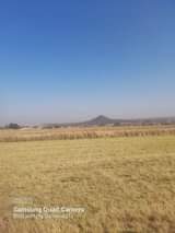 Thokozan T.