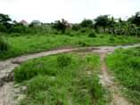 A picture of KIWANJA KINAUZWA KIBAMBA KIBWEGERE KWA MAZENGO TSH 2 500 000