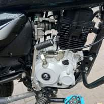 A picture of Boxer BM 150 DHS