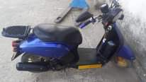 A picture of Honda