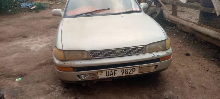 A picture of Toyota collora kikumi