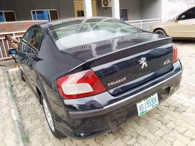 A picture of Peugeot 407 09027005027