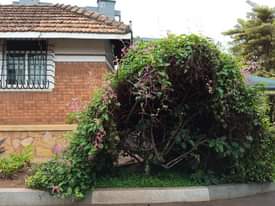 A picture of 1 acre for sale in Kololo lower terrace freehold land