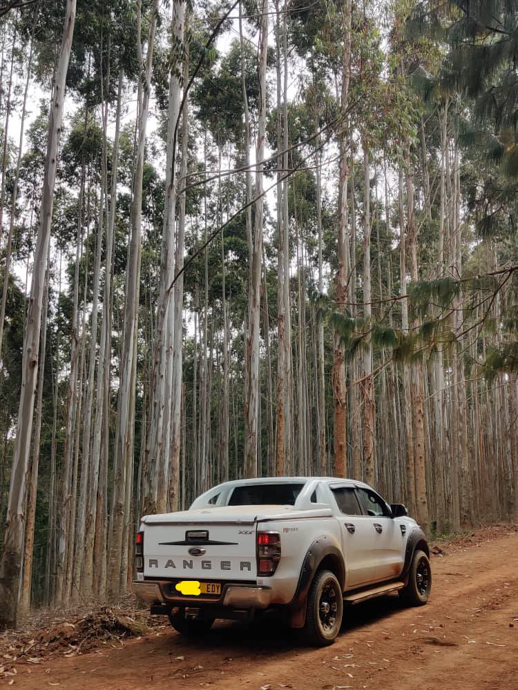 A picture of FORD RANGER FOR SALE