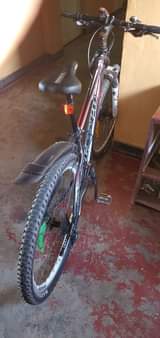 motorbikes