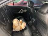 A picture of Toyota Corolla SE 2008 model clean interior Ac gear Nothing