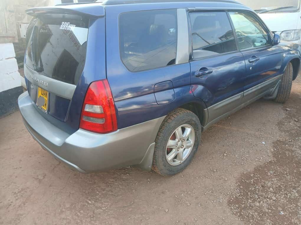A picture of FORESTER