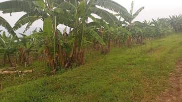 A picture of Nkufitiye ibibanza amazu byiza bigurishwa kuva kuri 1m kuzamura