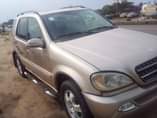 A picture of 2004 Ml 2004