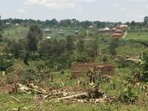A picture of A WELL PLANNED ESTATE 256708590699 New estate located in Gombe
