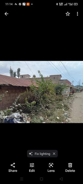 house kahawa