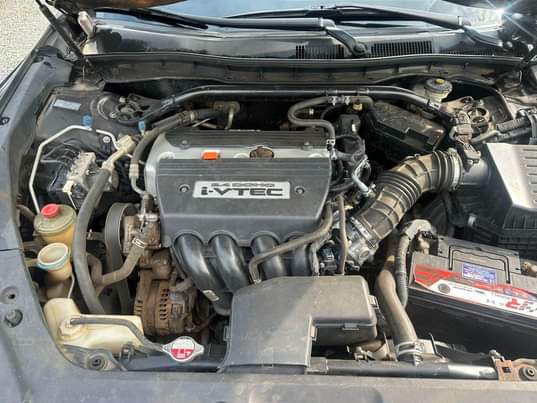 A picture of Honda Crosstour