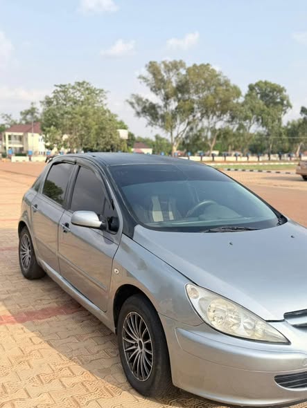 A picture of Peugeot 307