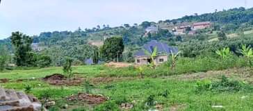 A picture of MATUGGA KIWEBWA HILL VIEW CITYSITE AFFORDABLE PLOTS WITH TITLESSALE Sizes