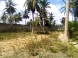 A picture of Yard inauzwa