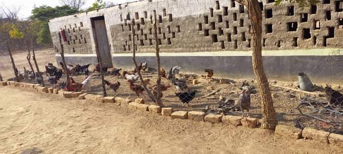 chisamba