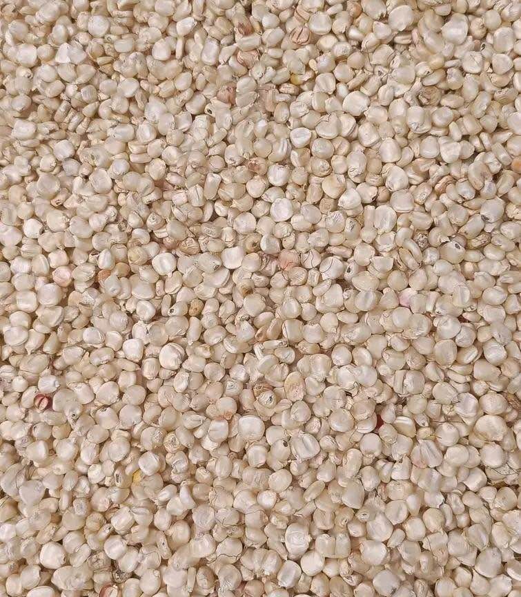 maize