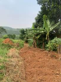 A picture of KIBANJA FOR SALE 80 ft by 300 ft for sale