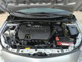 A picture of First body