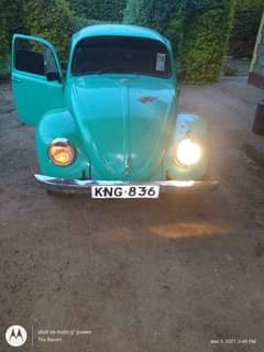 volkswagen beetle