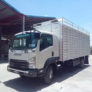 isuzu frr