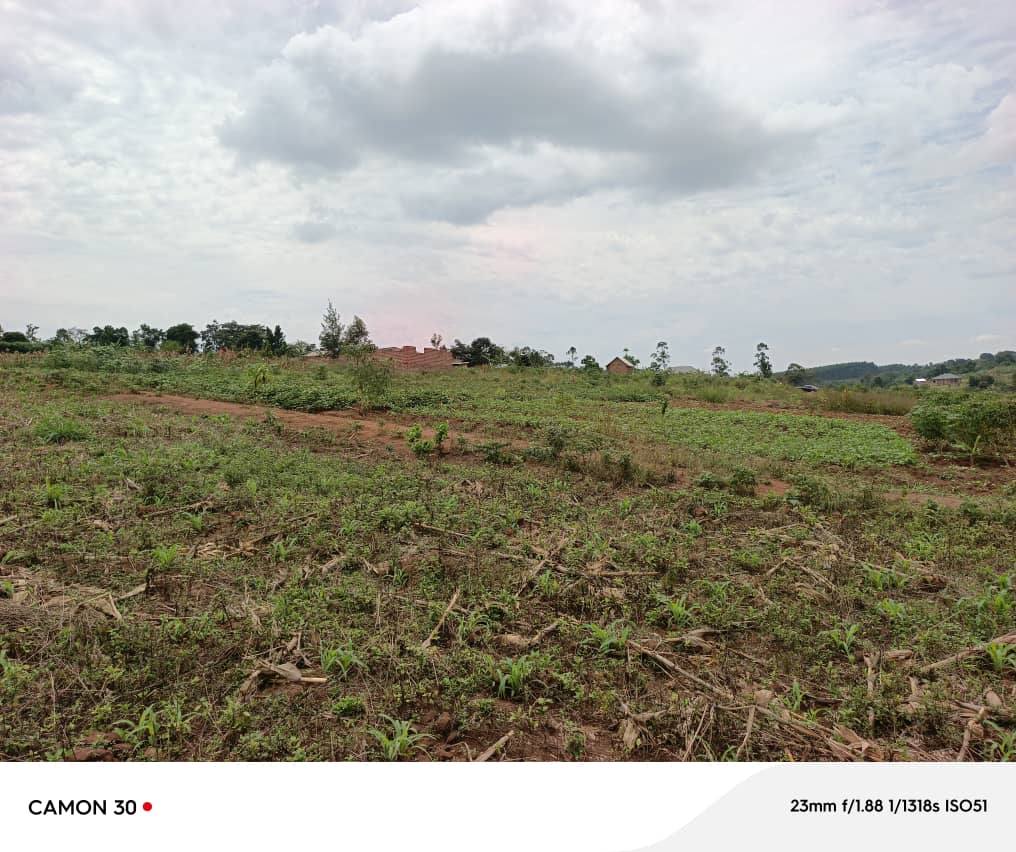 A picture of Land with a ready private Milo land title