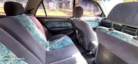 A picture of A very good Carib at 6 9m reduced Price Buy