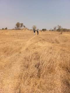 mwembeshi