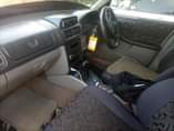A picture of Forester