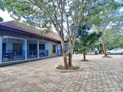 new kasama