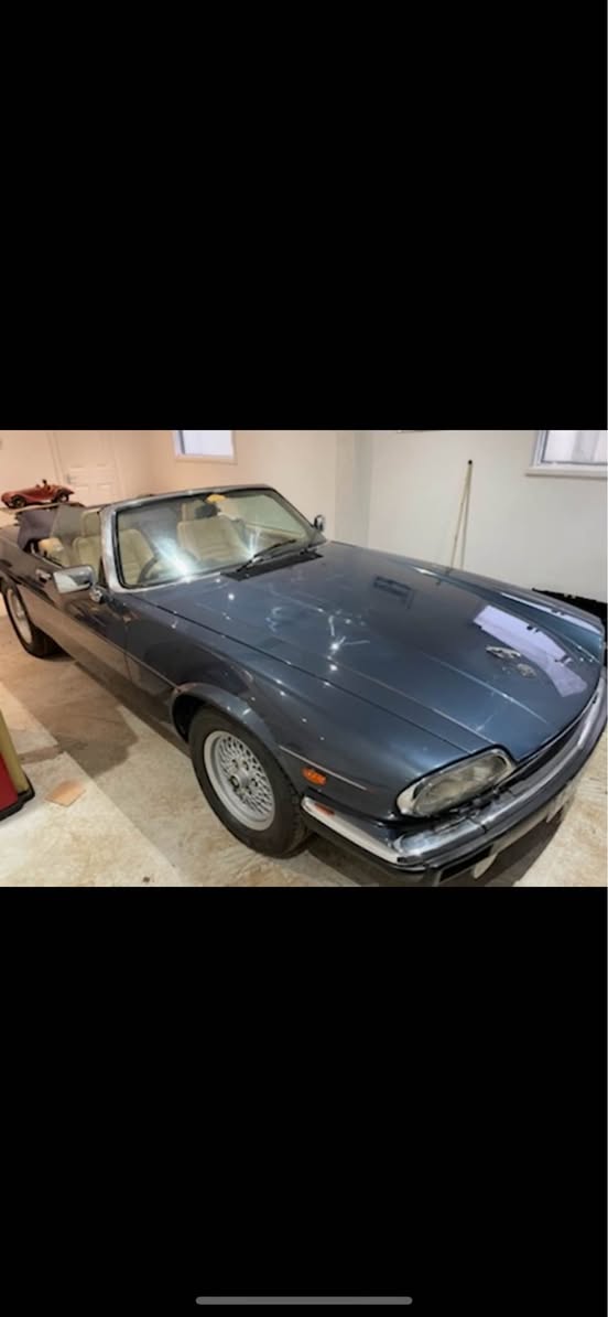 jaguar