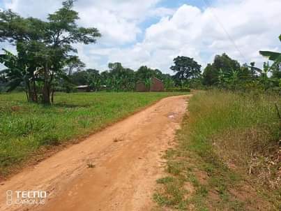 houses matugga