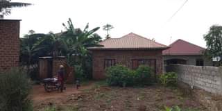 A picture of Quick sale house at 14.5 m shs Kawanda