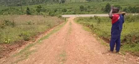 A picture of Kakiri Gobero Tarmac Estate plots start at 12m And above