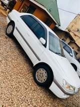 A picture of Premio ordinary