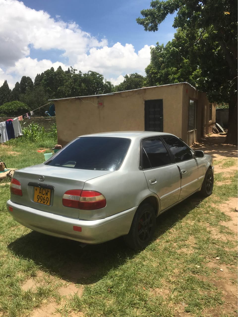 used toyota corolla