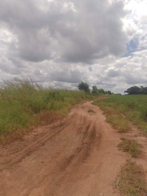 land