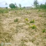 A picture of Tunauza viwanja vianzi vikindu futi 40 50 laki 7