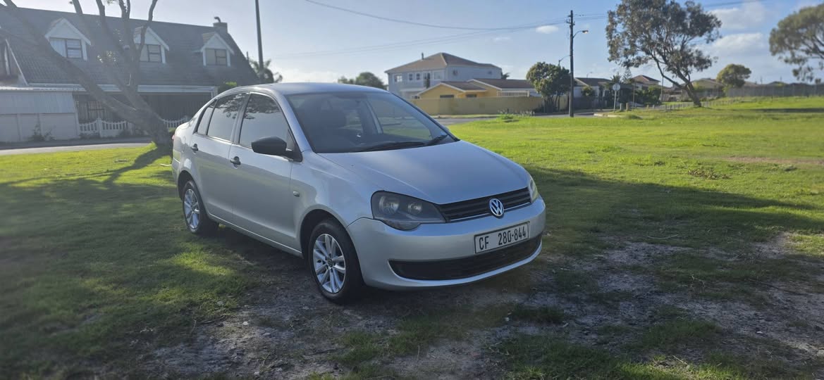polo vivo
