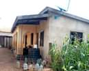 A picture of INAUZWA MOROGORO NANE NANE TUNGIA MIL 12