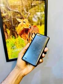 A picture of wai uchukue popf nzima sana haina kipengele chochote