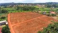 A picture of OWN PROPERTY OWN WEALTH 256750485024