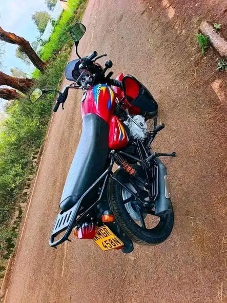 bajaj boxer