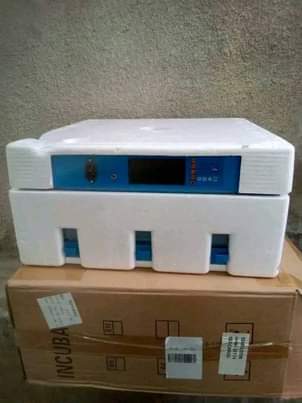 A picture of incubator