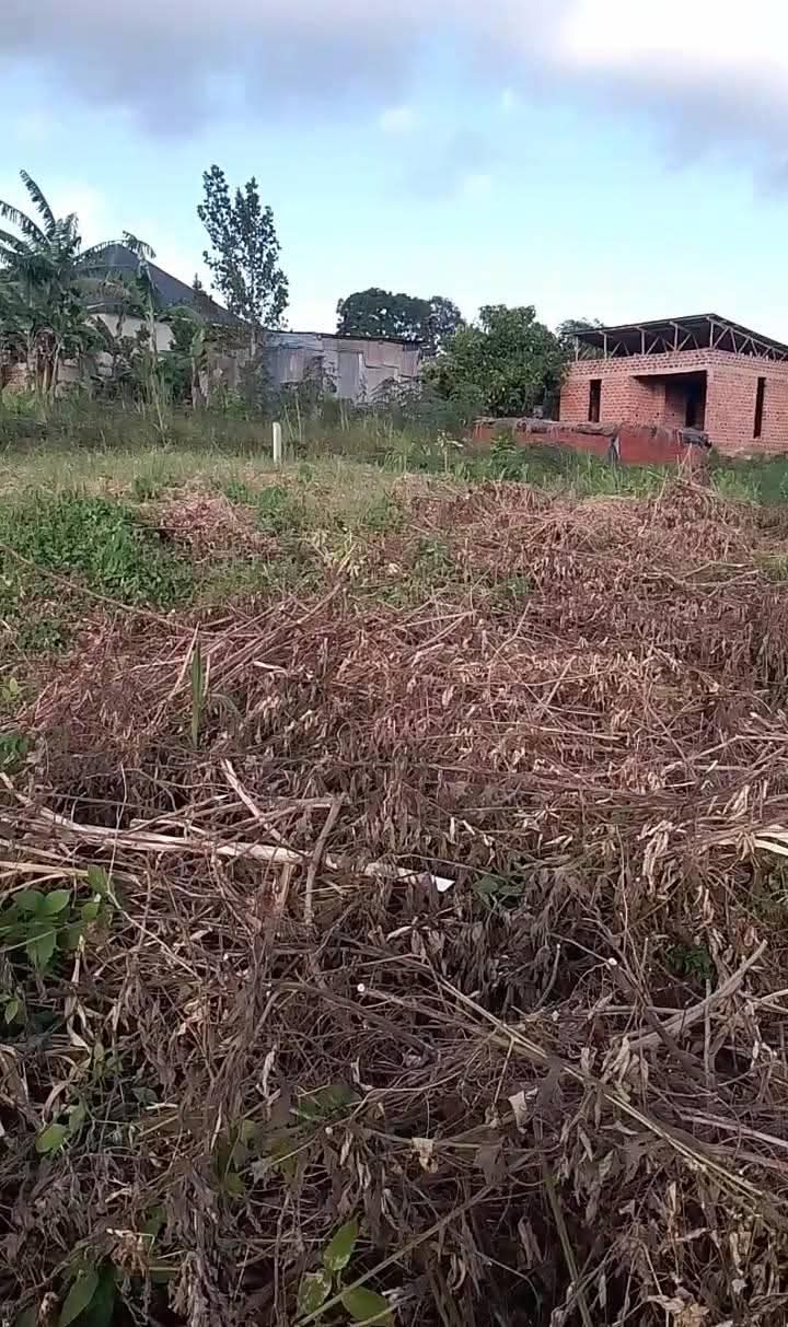 A picture of Plot 50ft x 30ft
