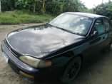 A picture of Camry orobo