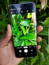 A picture of S8
