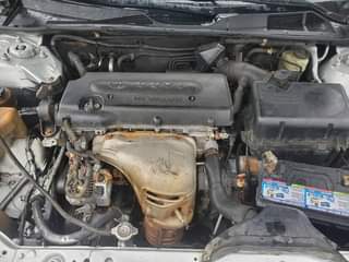 A picture of Toyota Camry big daddy