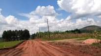 A picture of 2plots at Bujjuko Mityana Road on quick sale